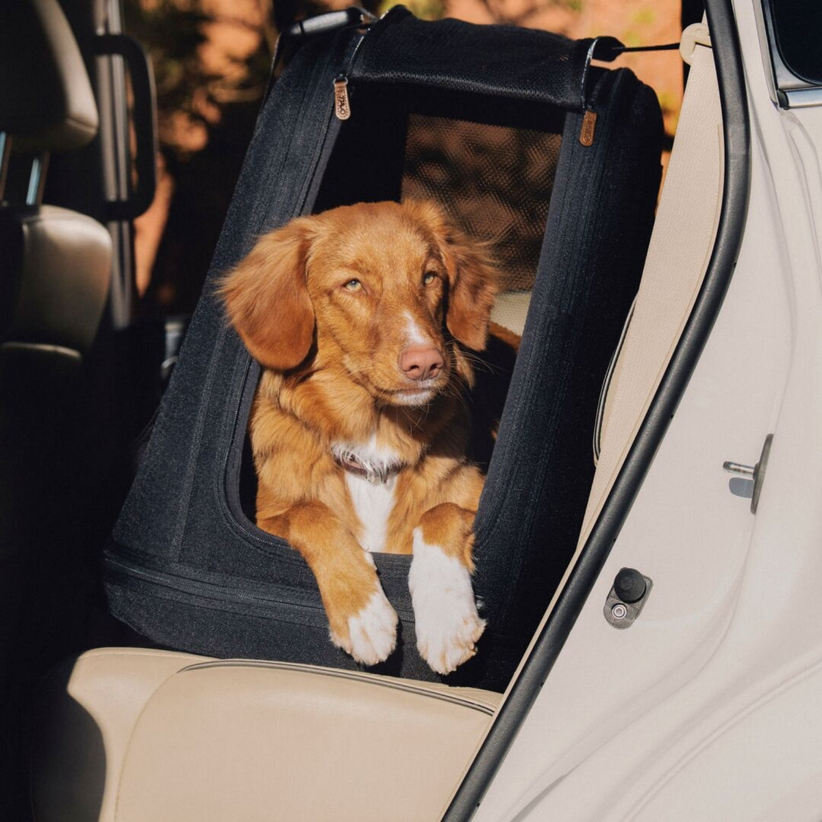Tavo Crispin Pet Travel Crate