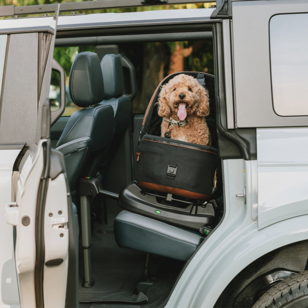 Tavo Meave Rigid Medium (rigid handle) with Isofix Base (without stroller)