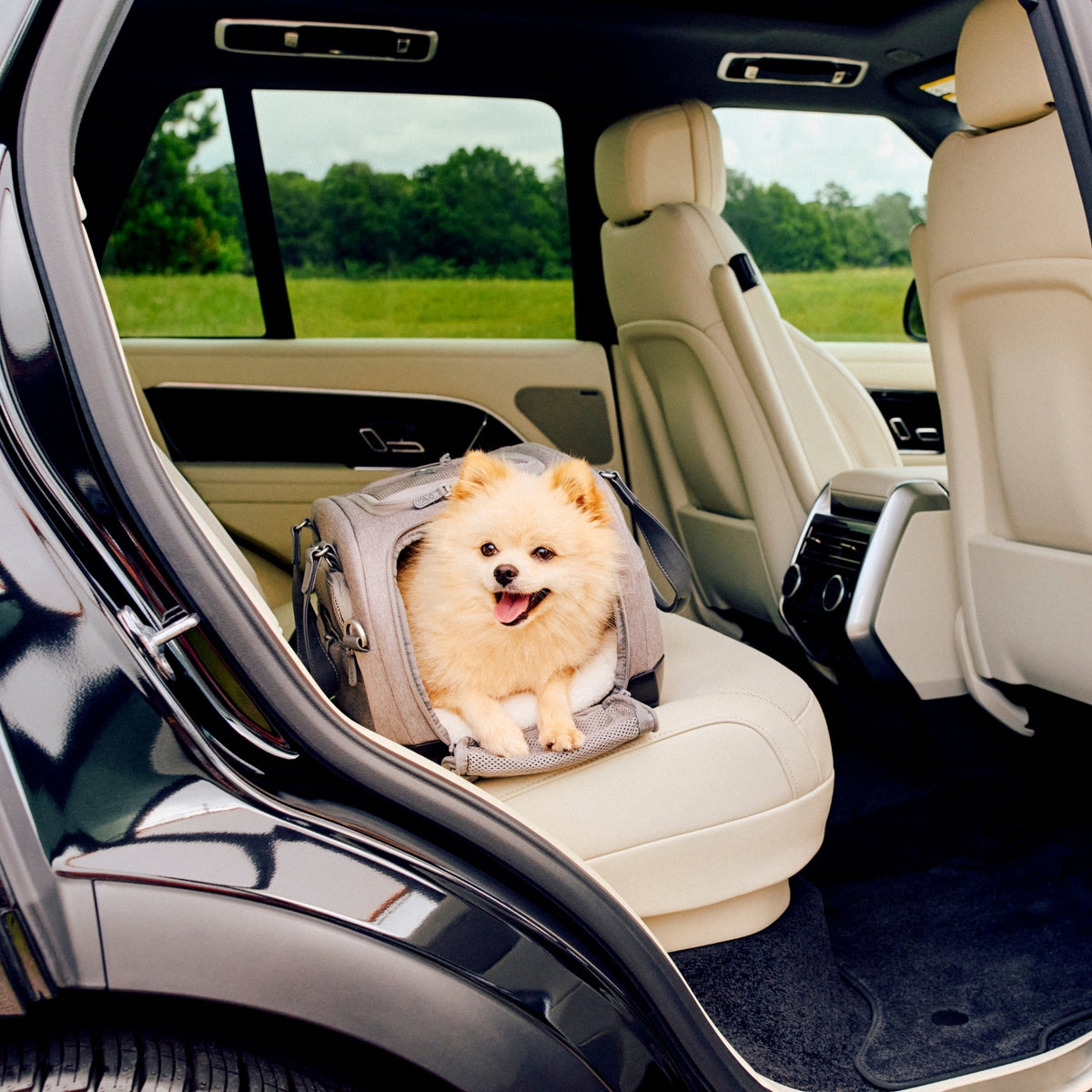 Tavo Dupree Pet Car Set and Carrier