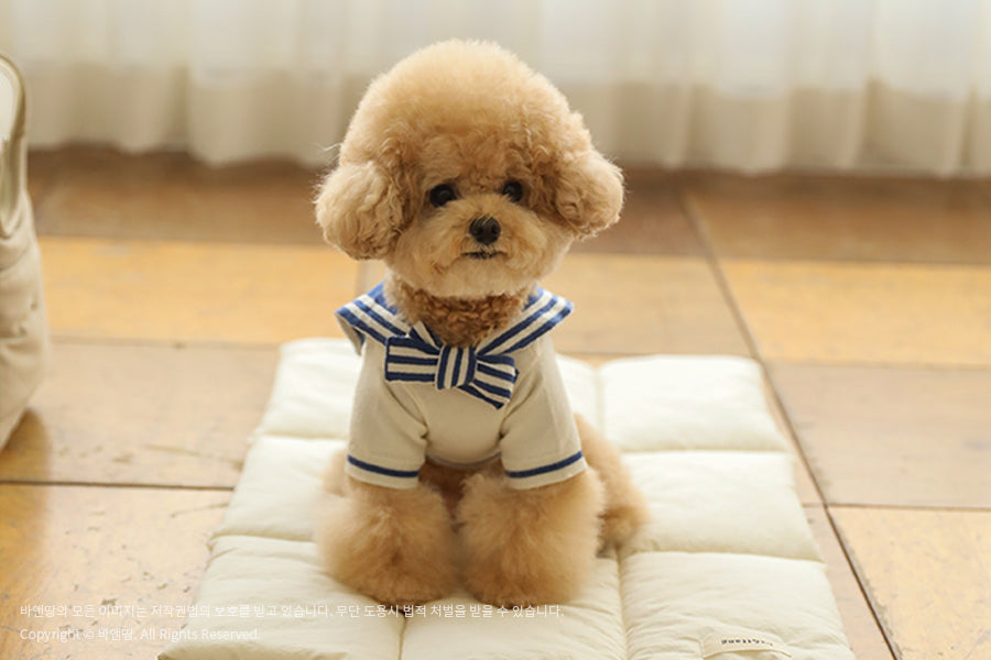 Ba&ttang-Marine Sailor Knit Pullover: ivory/blue[Ba&ttang-水手服小毛衣:蓝色] image 5