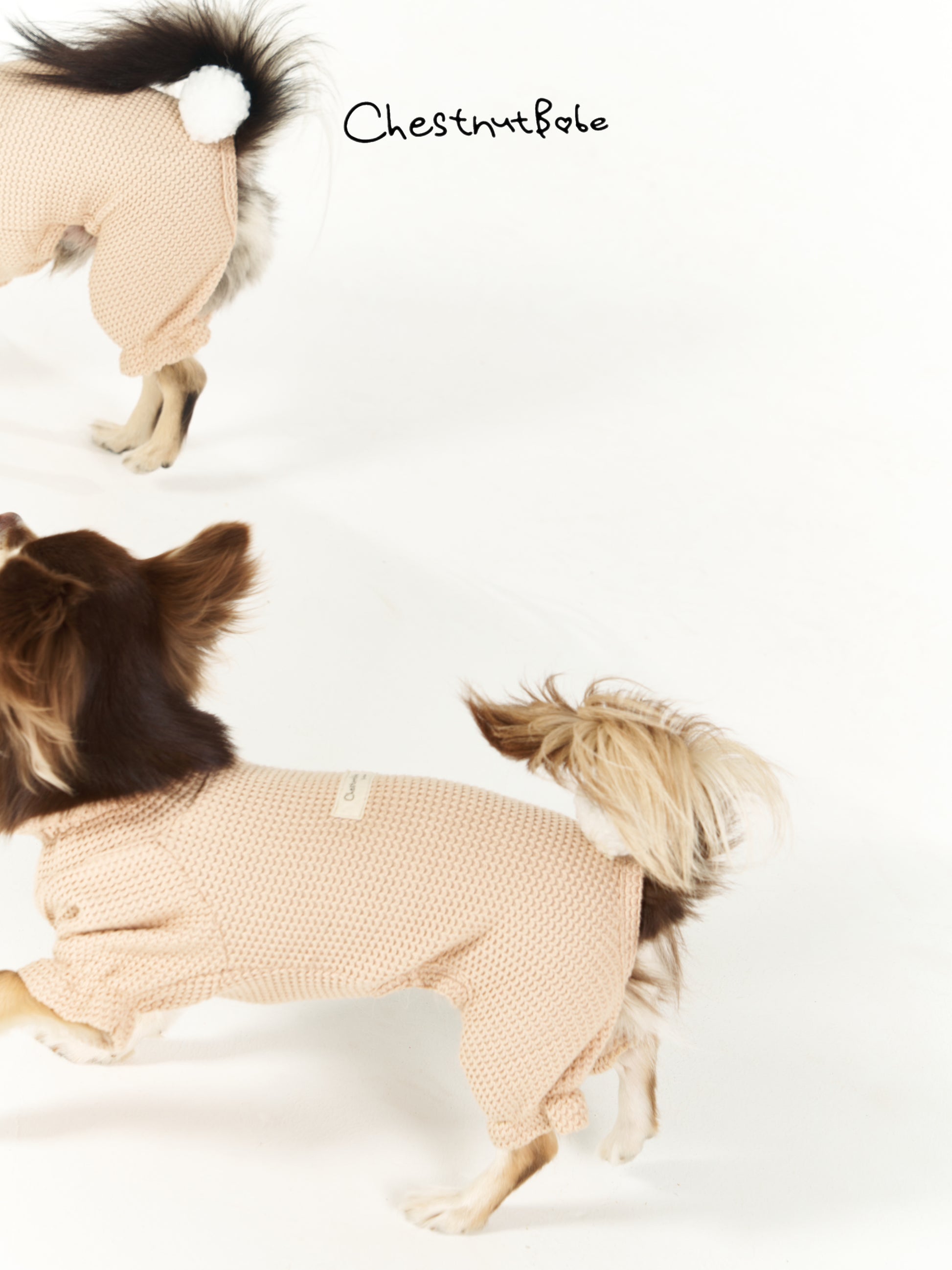 Chestnutbabe-rabbit jumper[Chestnutbabe-兔子四脚衣] image 4