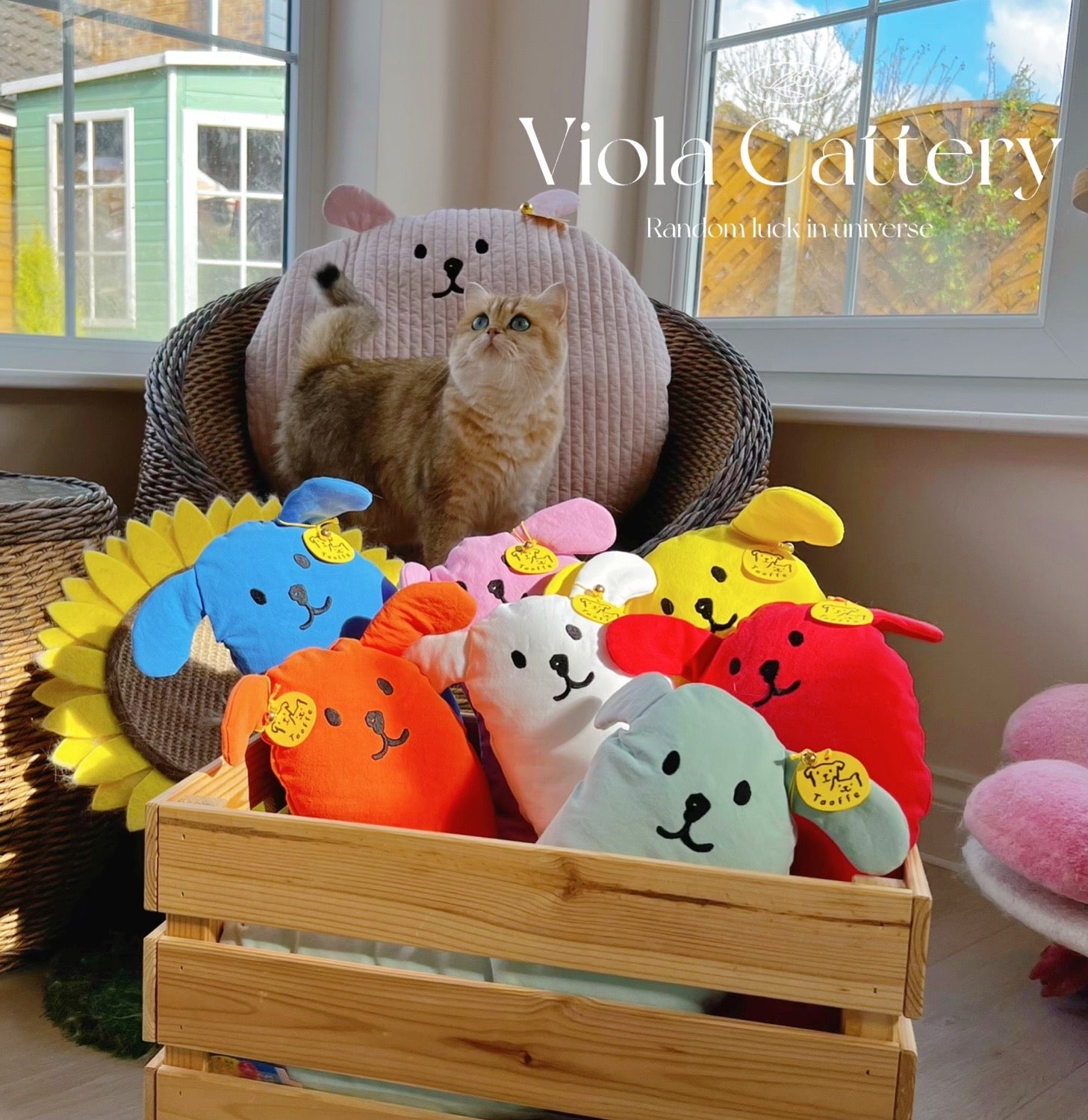 Taaffe Pillow[Taaffe狗狗抱枕] image 1