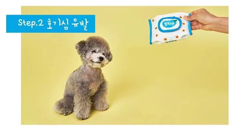 Special Pet Teasing Toys-Wet Wipe Style[韩国自嗨解压玩具系列-湿巾抽] image 3