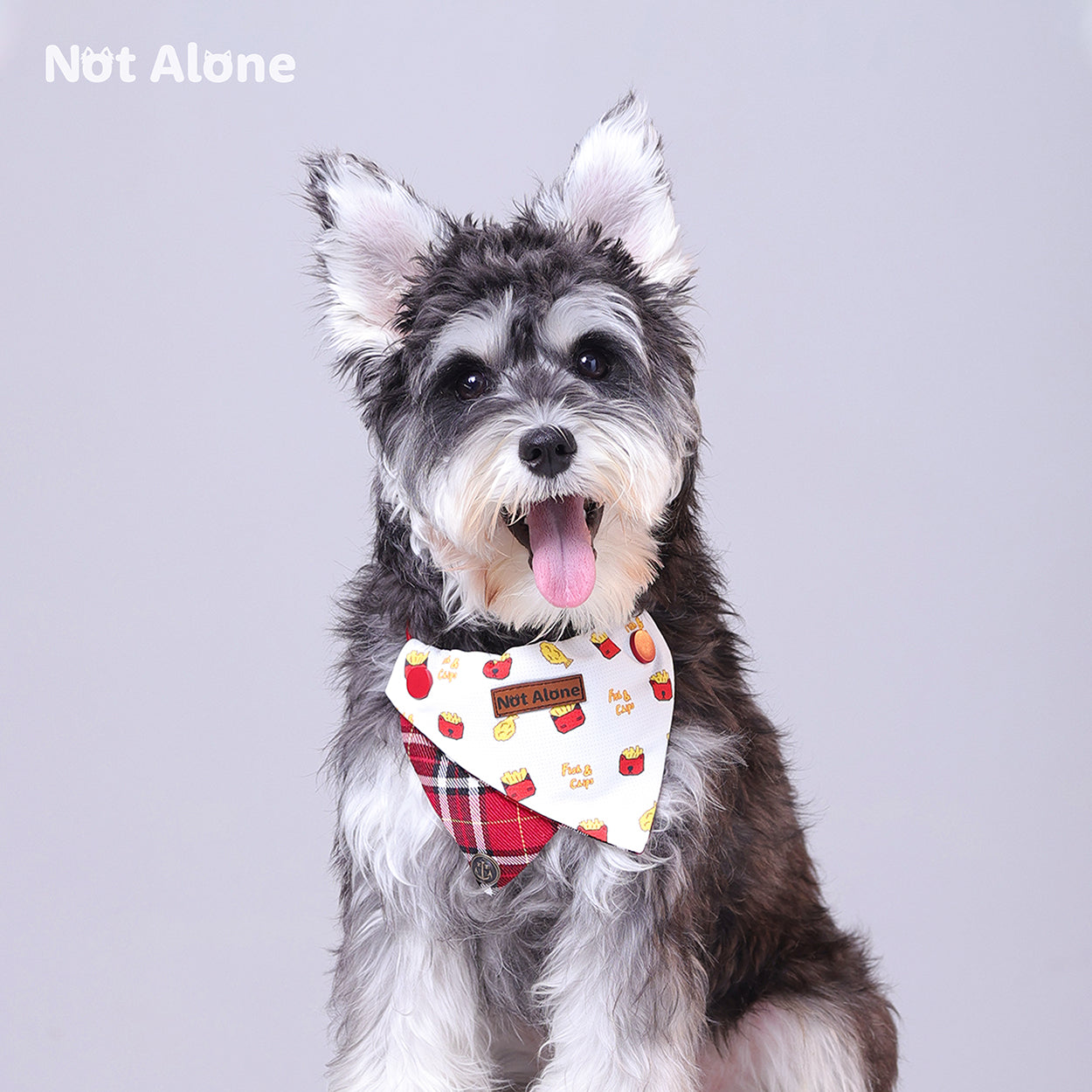 NotAlone-Fish&Chips Pet Bib[不孤岛-炸鱼薯条口水巾] image 2