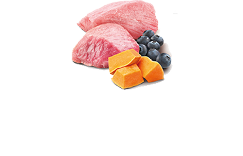 Farmina Cat N&D Pumpkin Lamb, Pumpkin & Blueberry Wet Food[法米娜N&D南瓜羊肉蓝莓无谷系列-猫湿粮] image 1