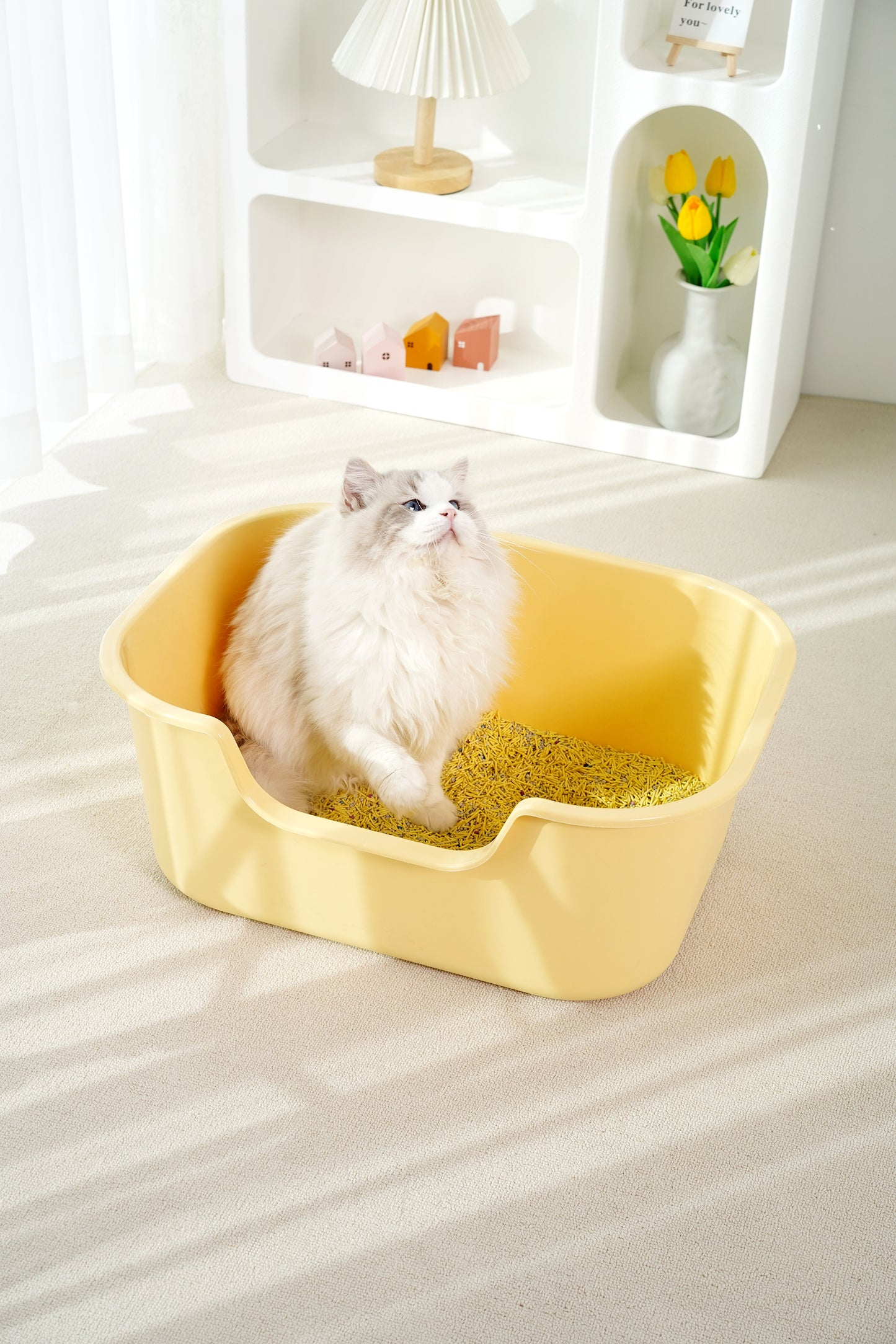 Big Strong Open Cat Litter Box-3 Colours-56x41x22cm[大号敞口猫砂盆-3种颜色-56x41x22cm] image 8