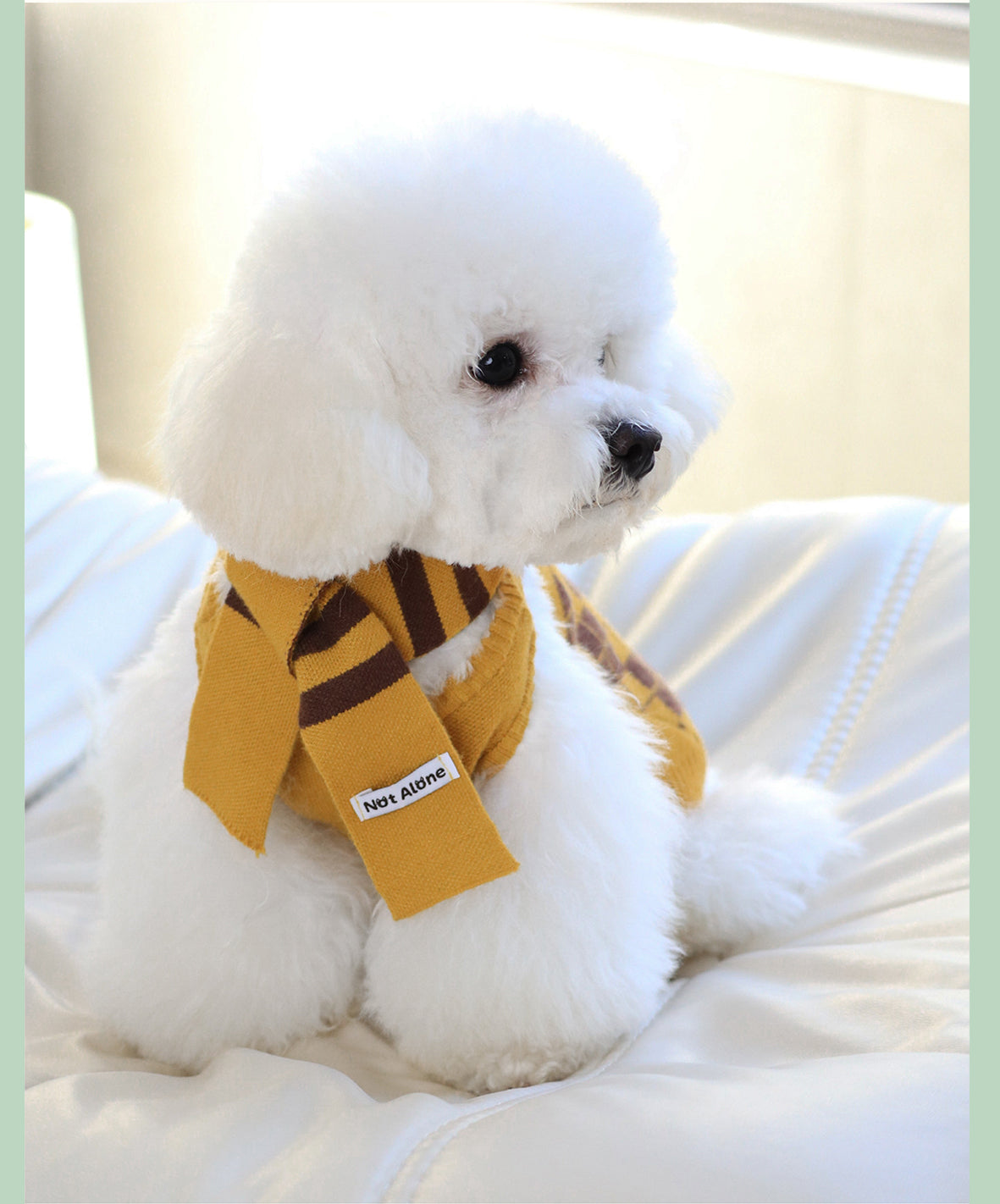 NotAlone-Magic House Pet Sweater Set[不孤岛-魔法学院格纹毛衣套装] image 7