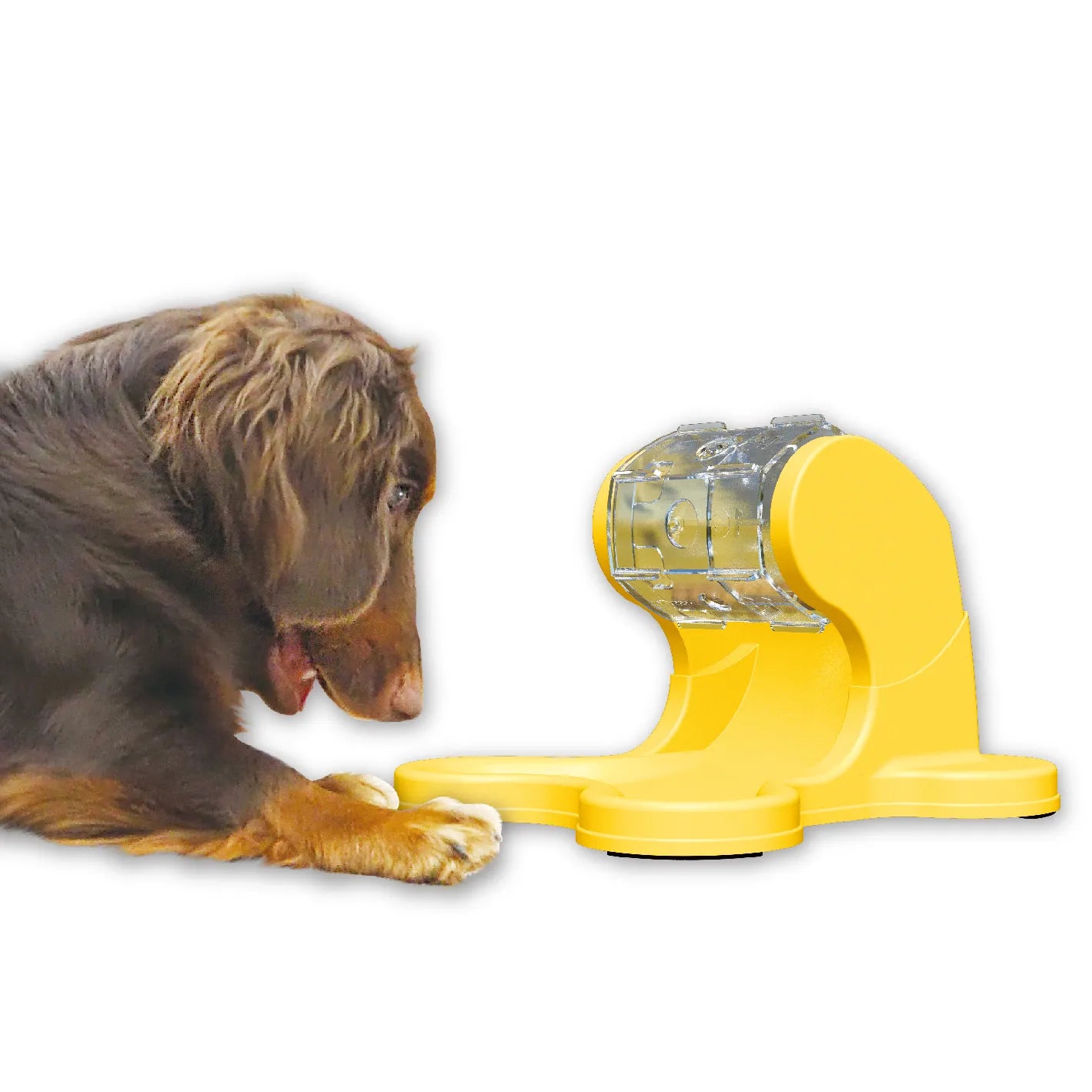 Doggyman-Dog Fortune Wheel For Interactive Feeding Game[Doggyman-狗狗互动喂食器] image 5