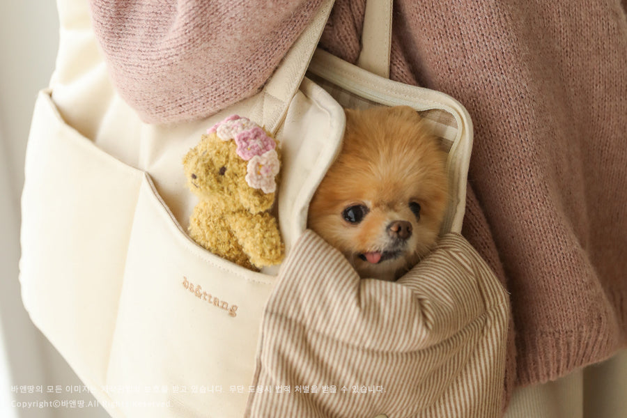 Ba&ttang-Check Two in One Shoulder Bag:ivory[Ba&ttang-两用单肩包:象牙白] image 13