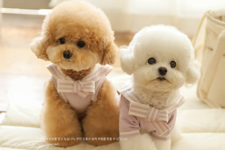 Ba&ttang-Marine Sailor Knit Pullover:lavender[Ba&ttang-水手服小毛衣:紫色] image 2