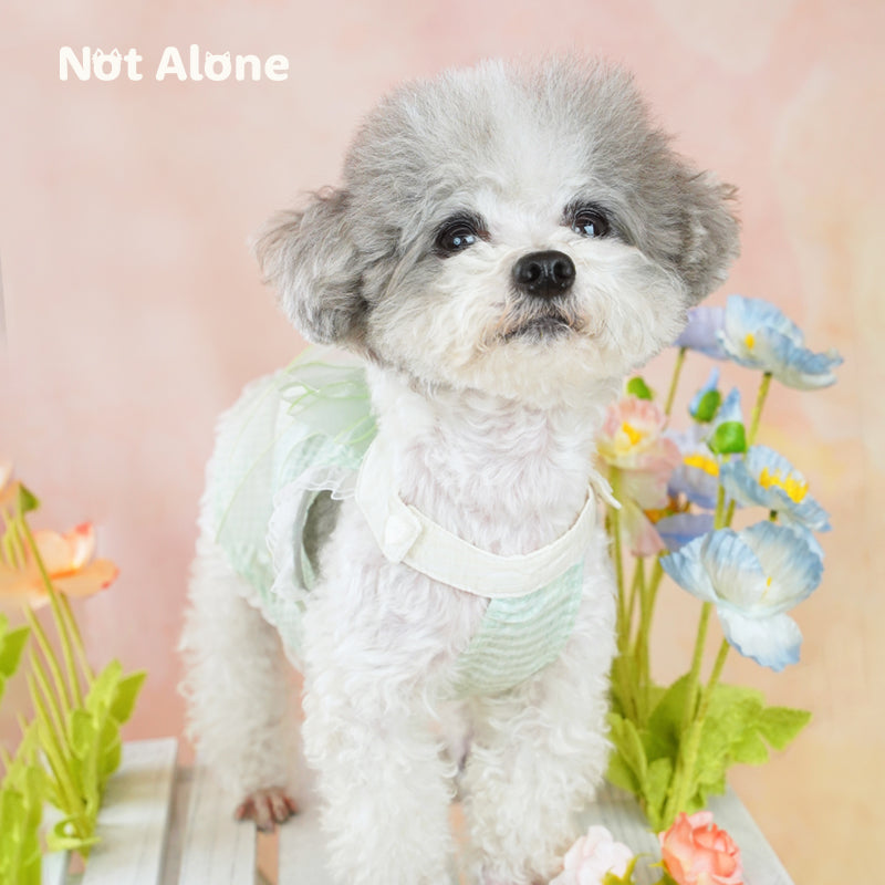 NotAlone-Fairy Bow Dress[不孤岛-下午茶泡泡裙] image 6