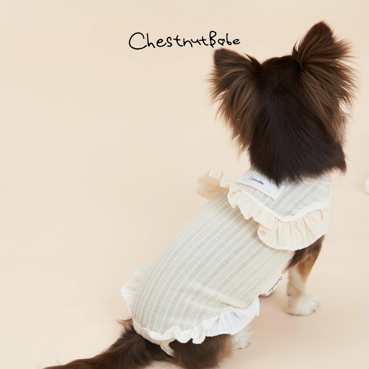 Chestnutbabe-Picnic t-shirt[Chestnutbabe-Picnic 婴儿包屁宠物衣] image 2