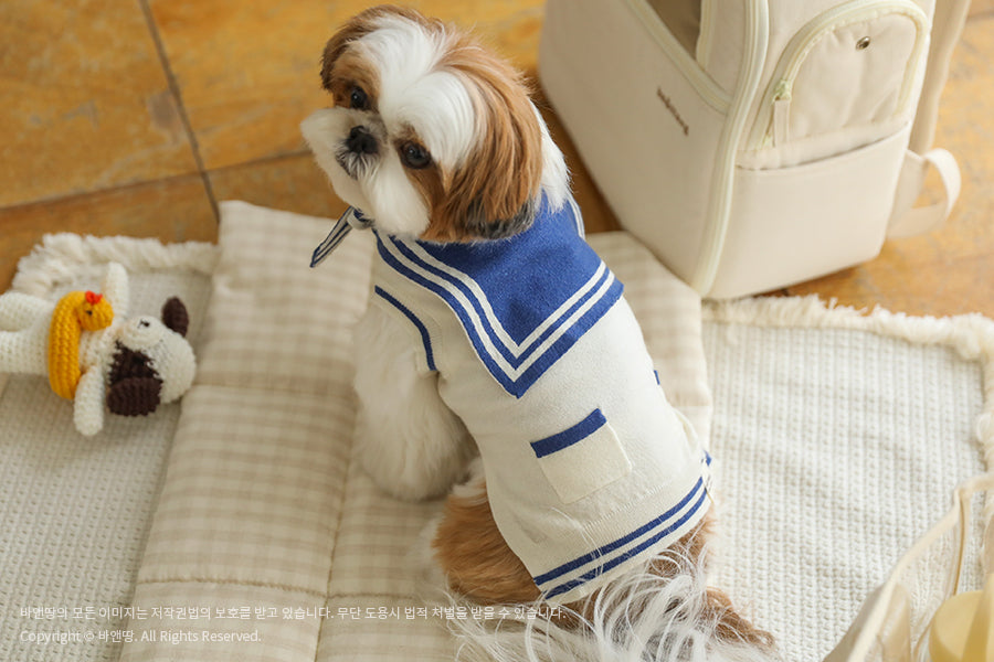 Ba&ttang-Marine Sailor Knit Pullover: ivory/blue[Ba&ttang-水手服小毛衣:蓝色] image 7