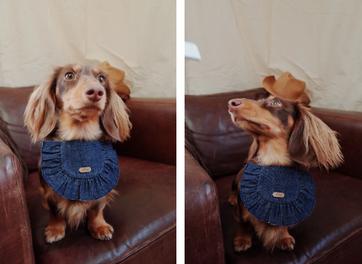 Patuu Pet Denim Bib image 3