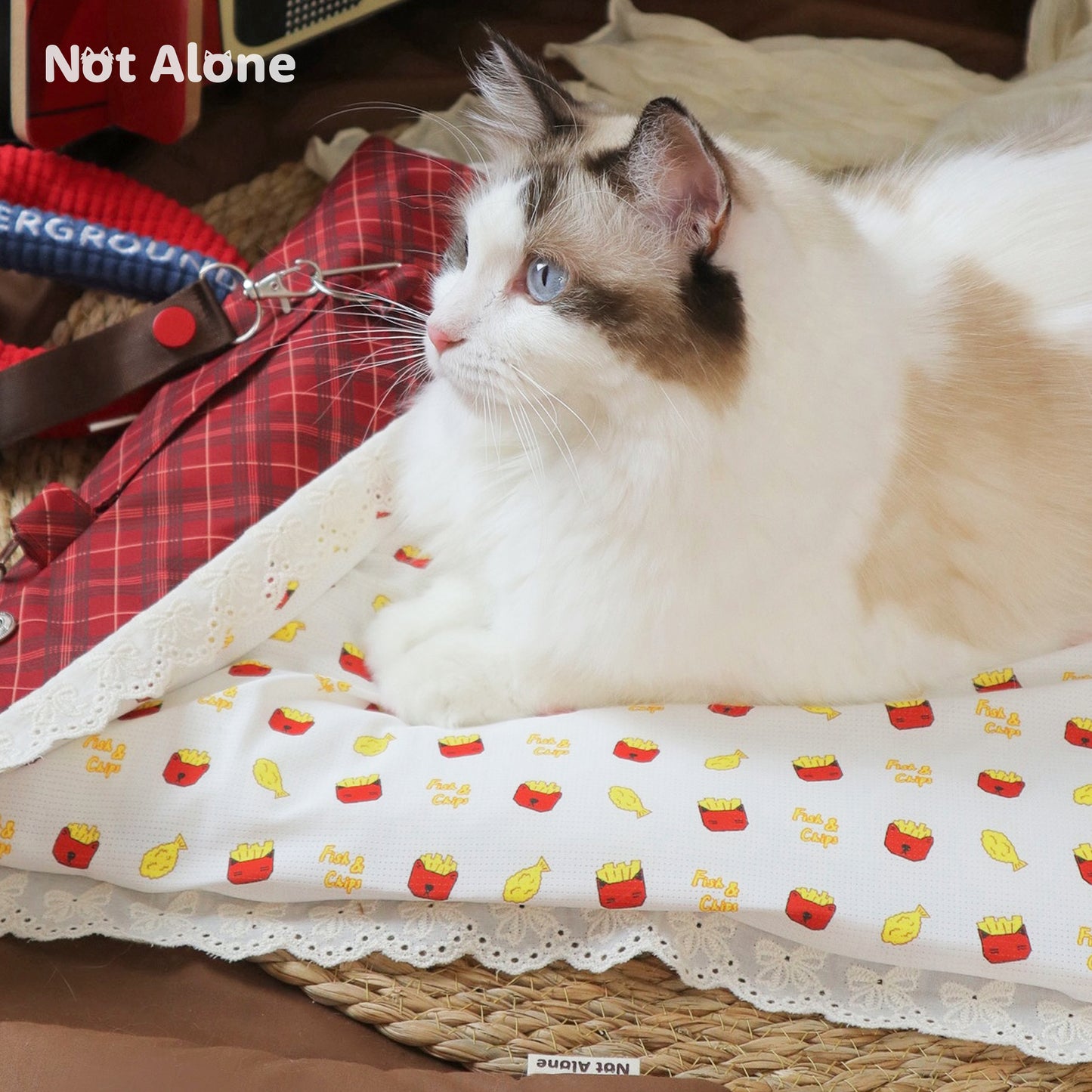 Not Alone-Fish&Chips Folding Pet Blanket[不孤岛-便携式可折叠宠物窝垫包] image 5