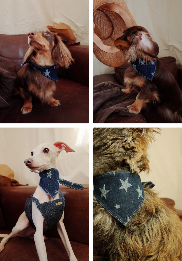 Patuu Star Print Denim Bandana image 1