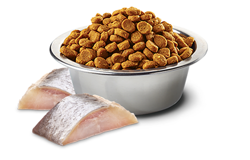 Farmina Dog N&D HERRING, SPIRULINA AND WOLFBERRY ADULT-7kg[法米娜N&D鲱鱼螺旋藻配方-成犬粮7kg] image 1