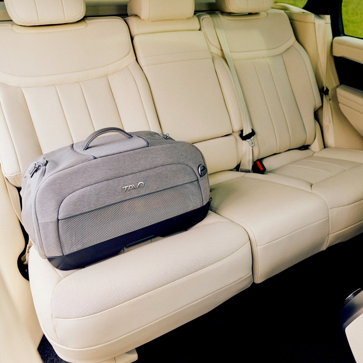 Tavo Dupree Pet Car Set and Carrier