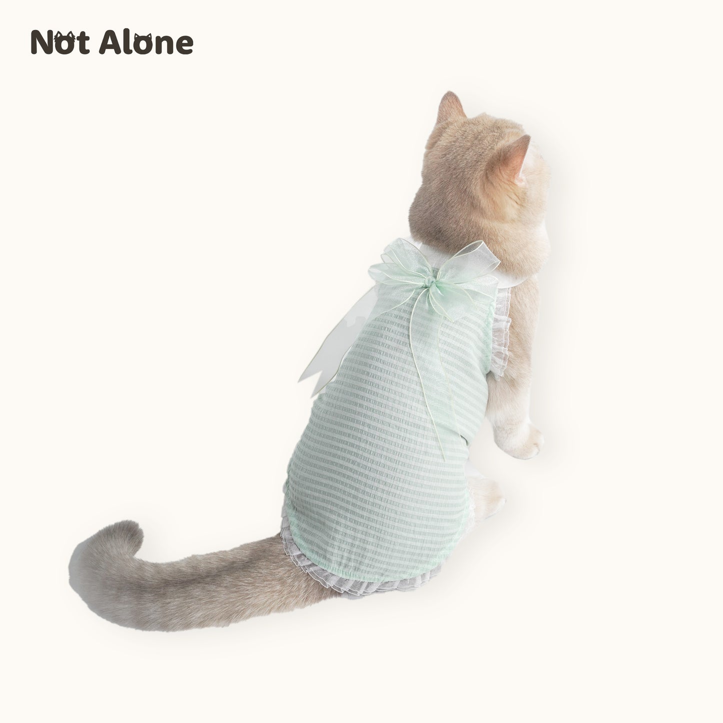 NotAlone-Fairy Bow Dress[不孤岛-下午茶泡泡裙] image 4