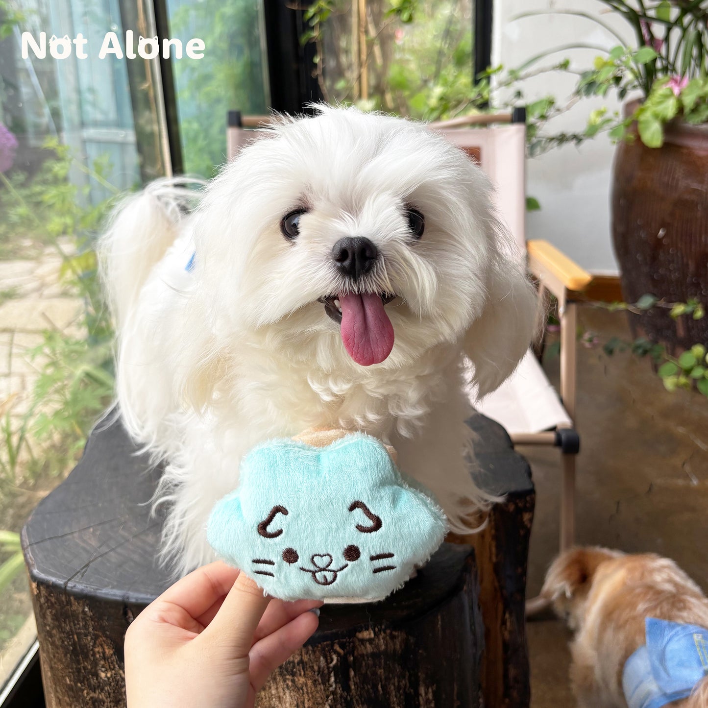Not Alone Afternoon Tea Pet Plush Toy Blind Box 下午茶宠物玩具盲盒 image 5