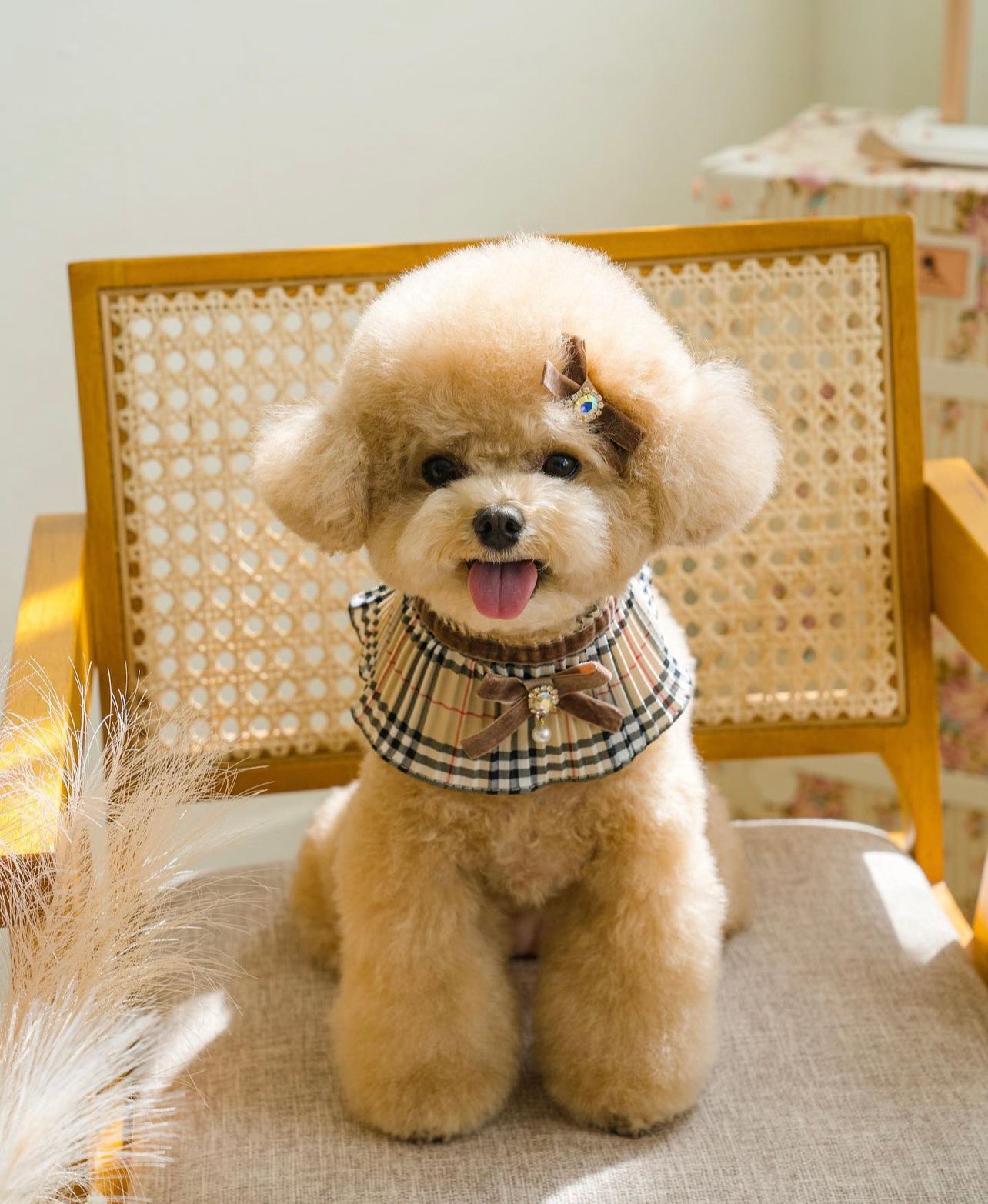 Pets&Me Plaid Scarf[韩国Pets&Me格纹小围脖] image 2