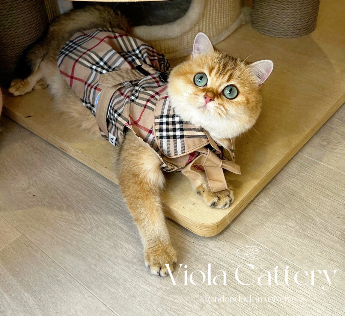 Pets&Me Coat with Hat[韩国Pets&Me英伦范风衣带帽子] image 1