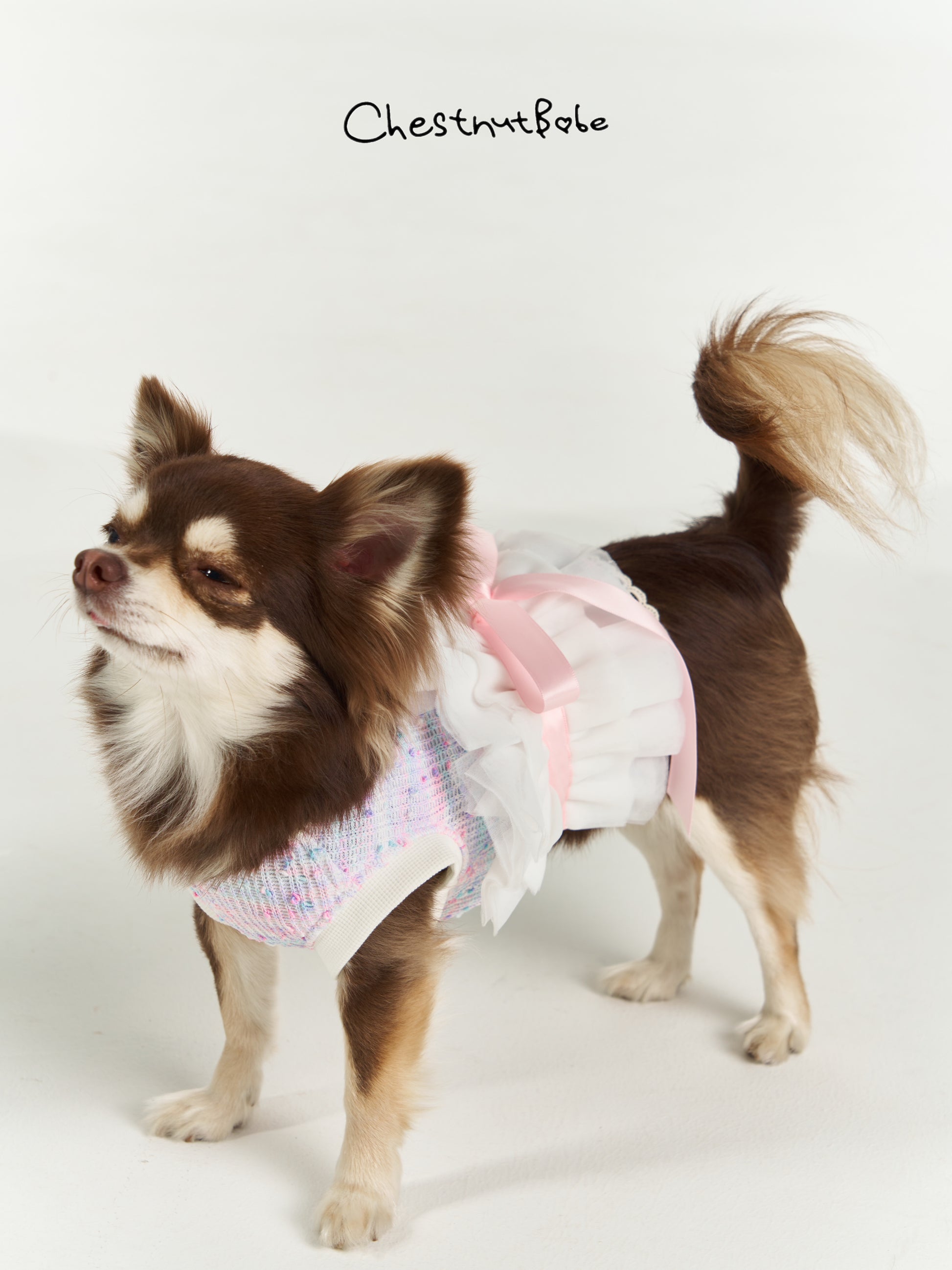 Chestnutbabe=Ballet Dress[Chestnutbabe-芭蕾舞裙] image 2