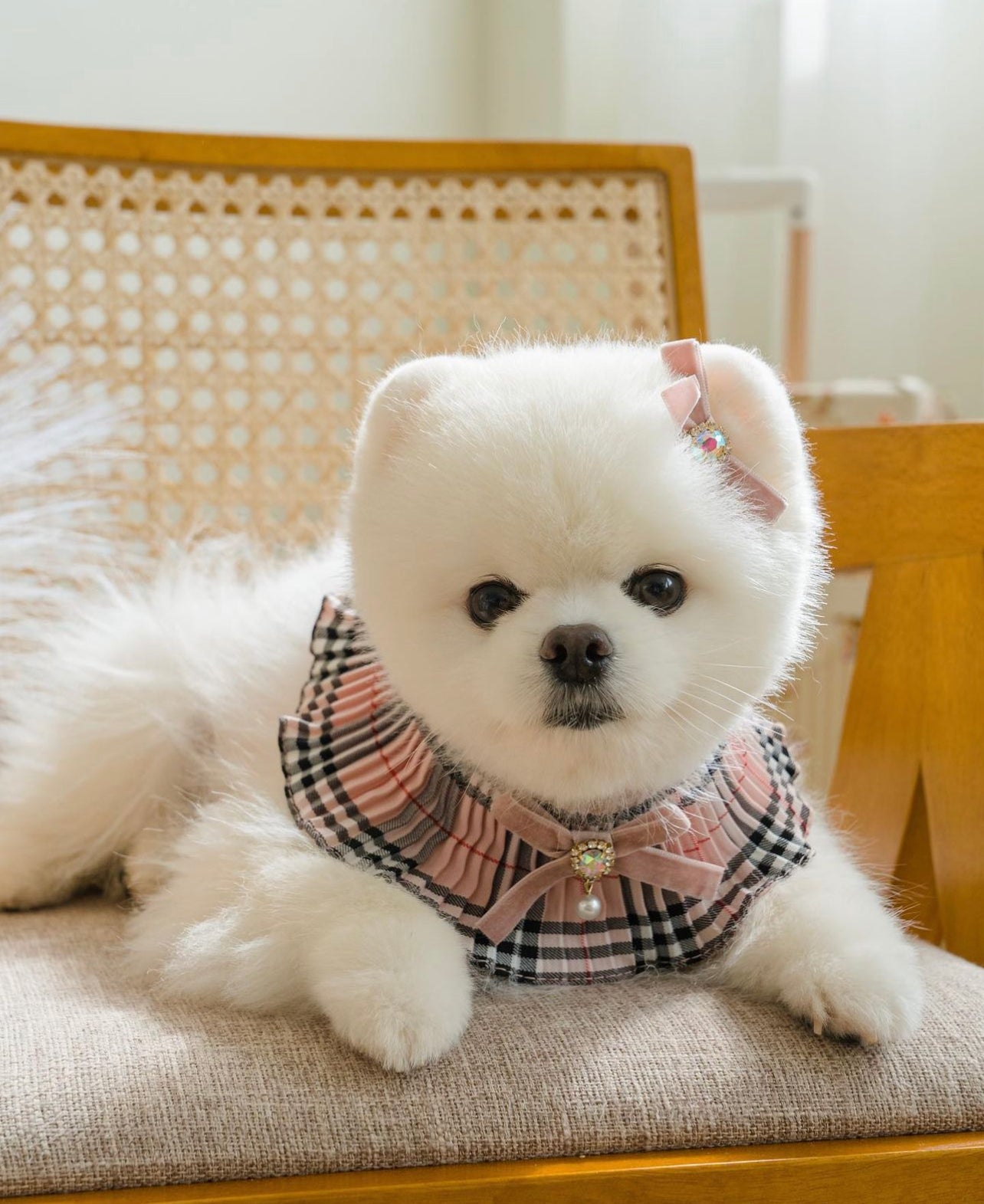 Pets&Me Plaid Scarf[韩国Pets&Me格纹小围脖] image 3