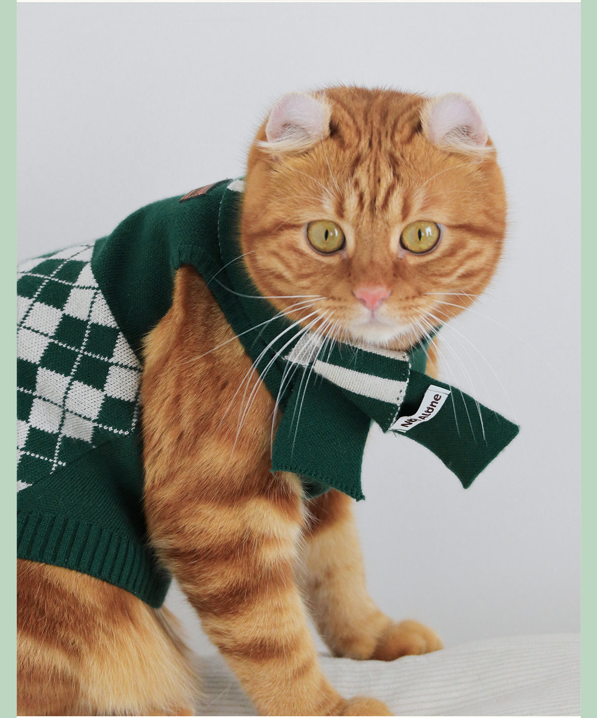 NotAlone-Magic House Pet Sweater Set[不孤岛-魔法学院格纹毛衣套装] image 3