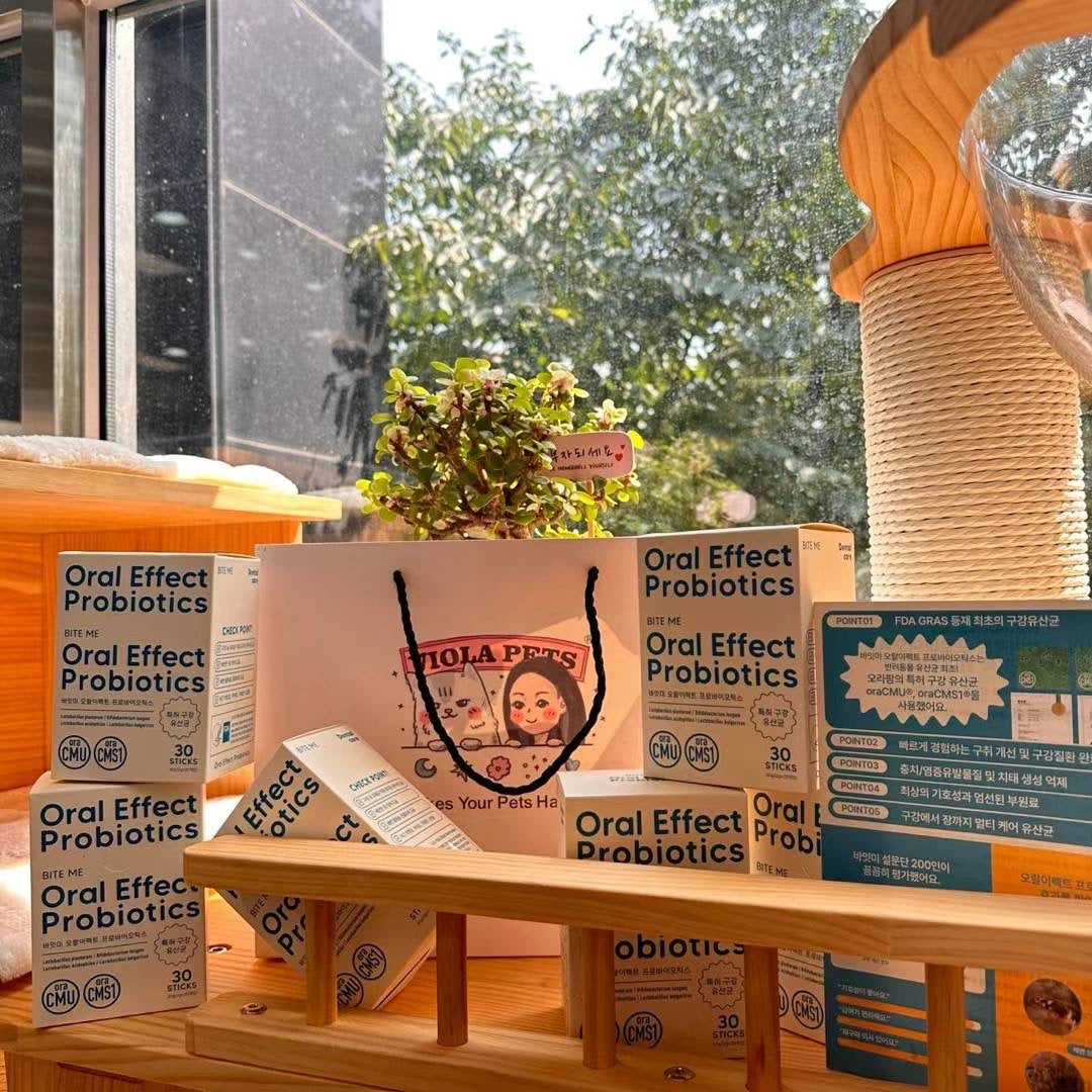 BiteMe-OralEffect Probiotic Lactic Acid Bacteria[BiteMe-OralEffect口腔护理益生菌] image 6