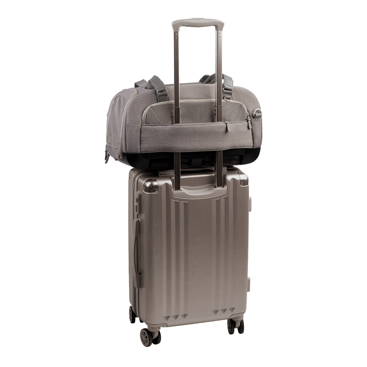Tavo Dupree Pet Car Set and Carrier