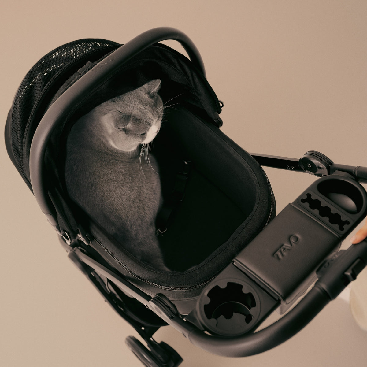 Tavo Meave ISO (without stroller)