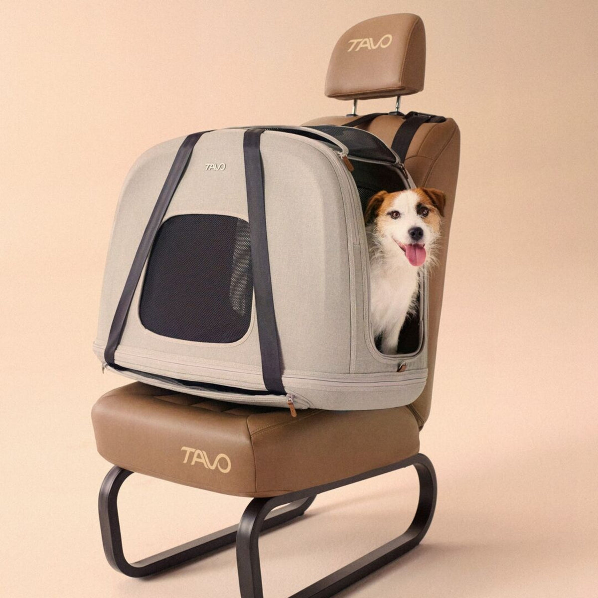 Tavo Crispin Pet Travel Crate