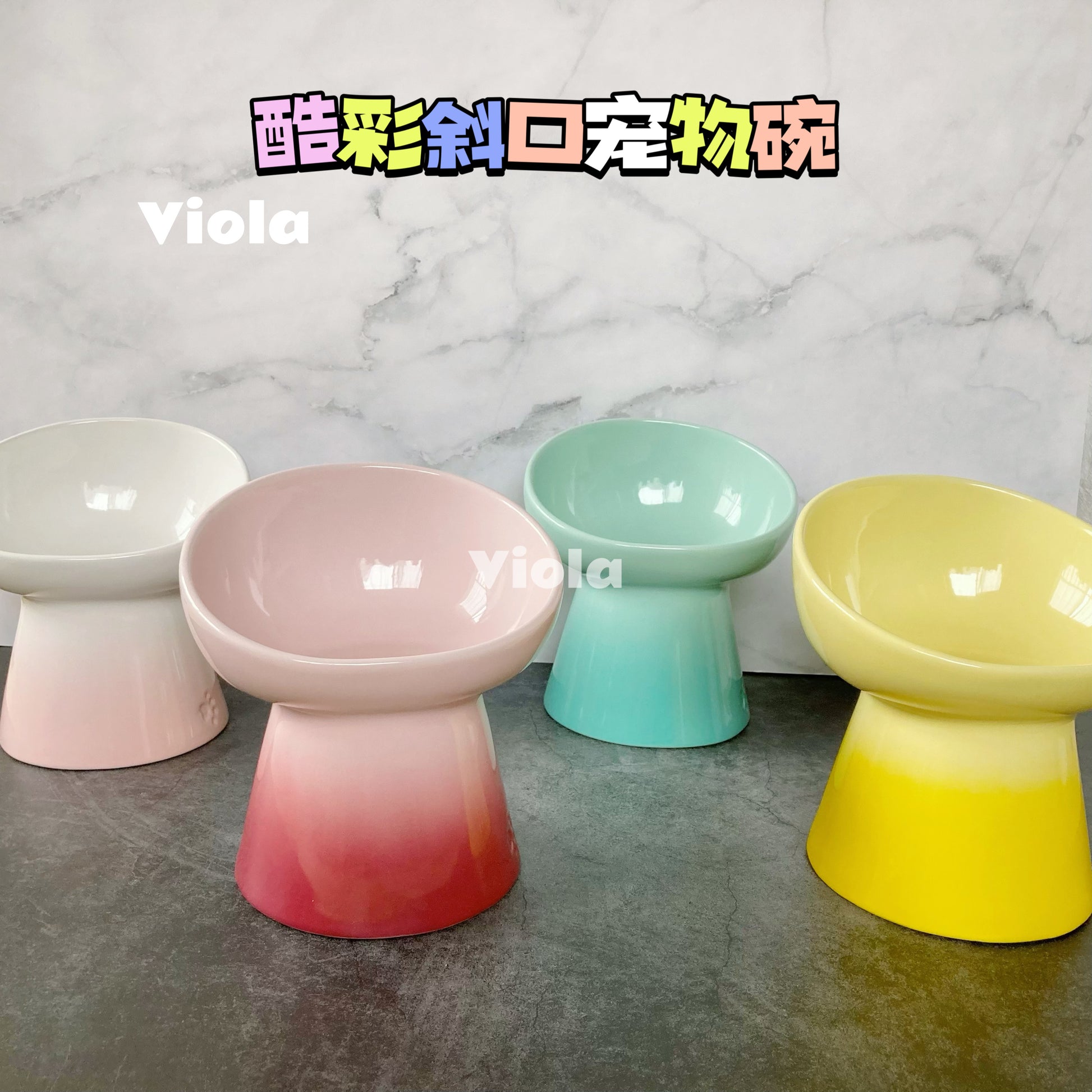 Le Creuset Deep Footed Pet Bowl[Le Creuset 酷彩斜口宠物碗(4色可选)] image 1