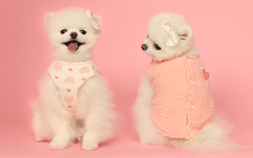 Pets&Me Double-Sided Heart Vest with Hairpin[韩国Pets&Me怦然心动小马甲双面可穿(包含发夹)] image 0