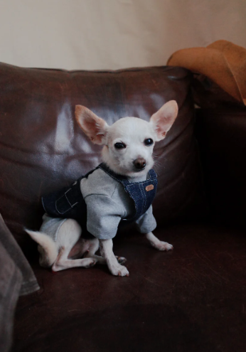 Patuu Dark Denim Skirt image 6