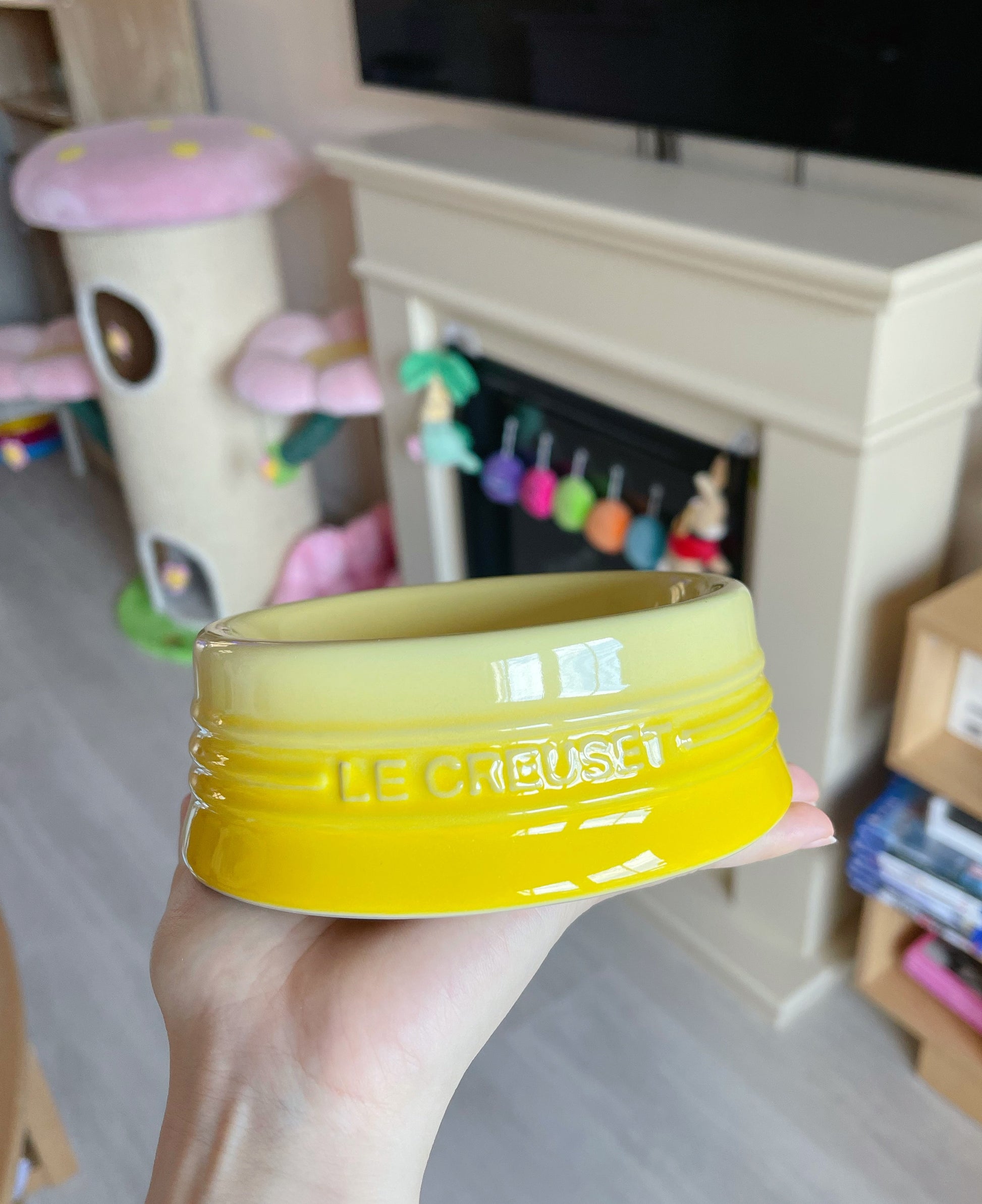 Le Creuset Pet Bowl-Small[酷彩宠物碗小号S-10色可选] image 2