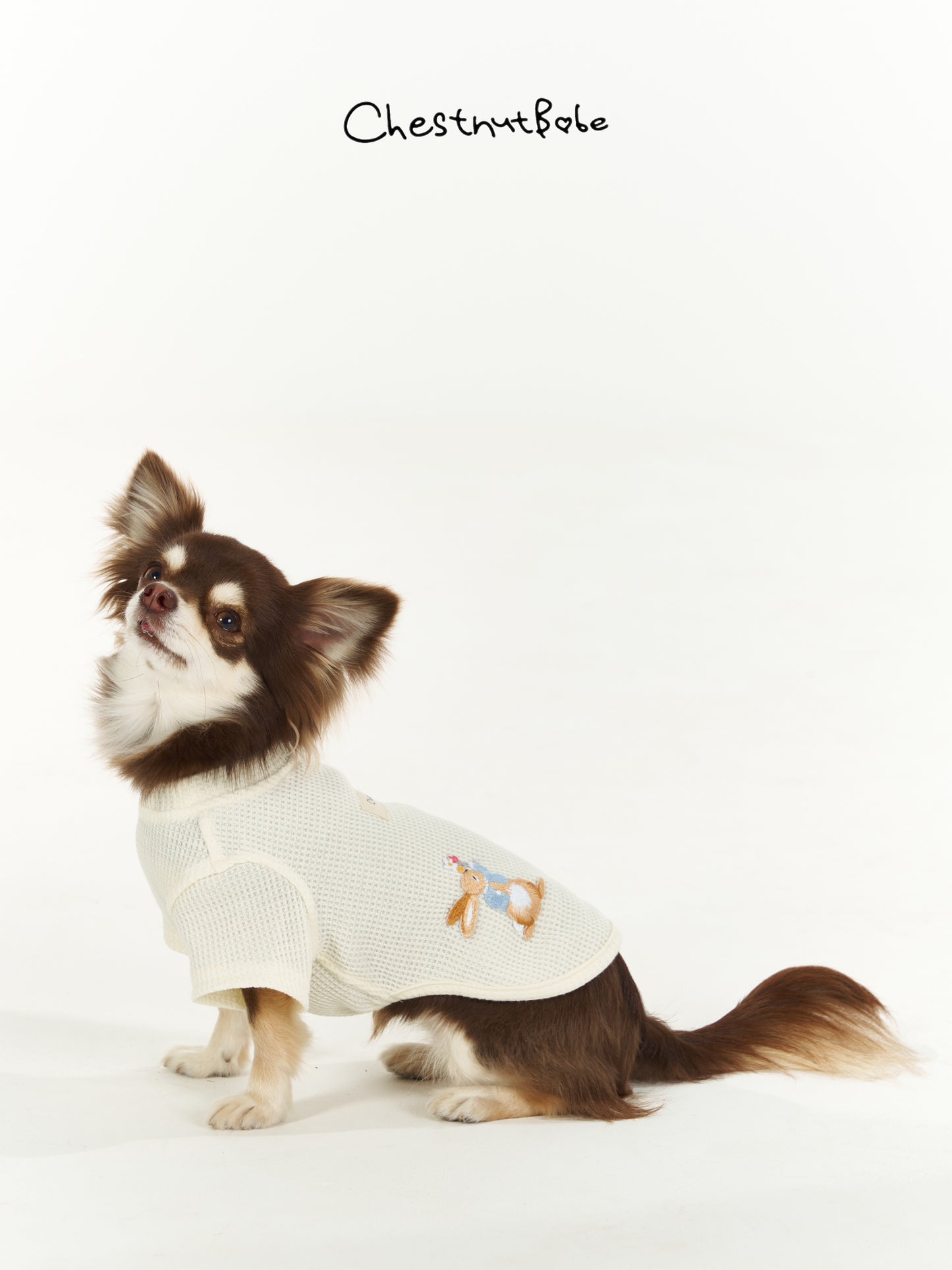 Chestnutbabe-Peter Rabbit sweater[Chestnutbabe-彼得兔衣服] image 1