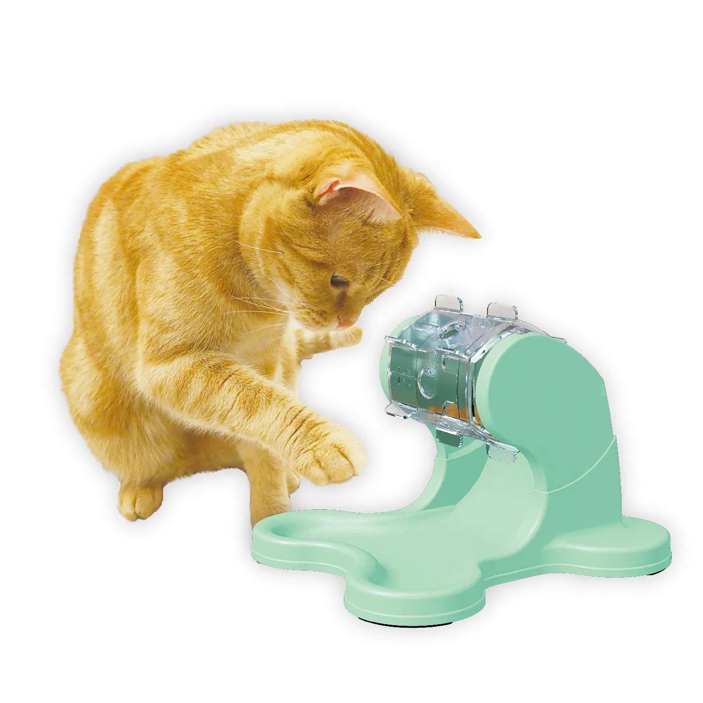 Cattyman-Cat Fortune Wheel For Interactive Feeding Game [Cattyman-猫猫互动喂食器] image 5