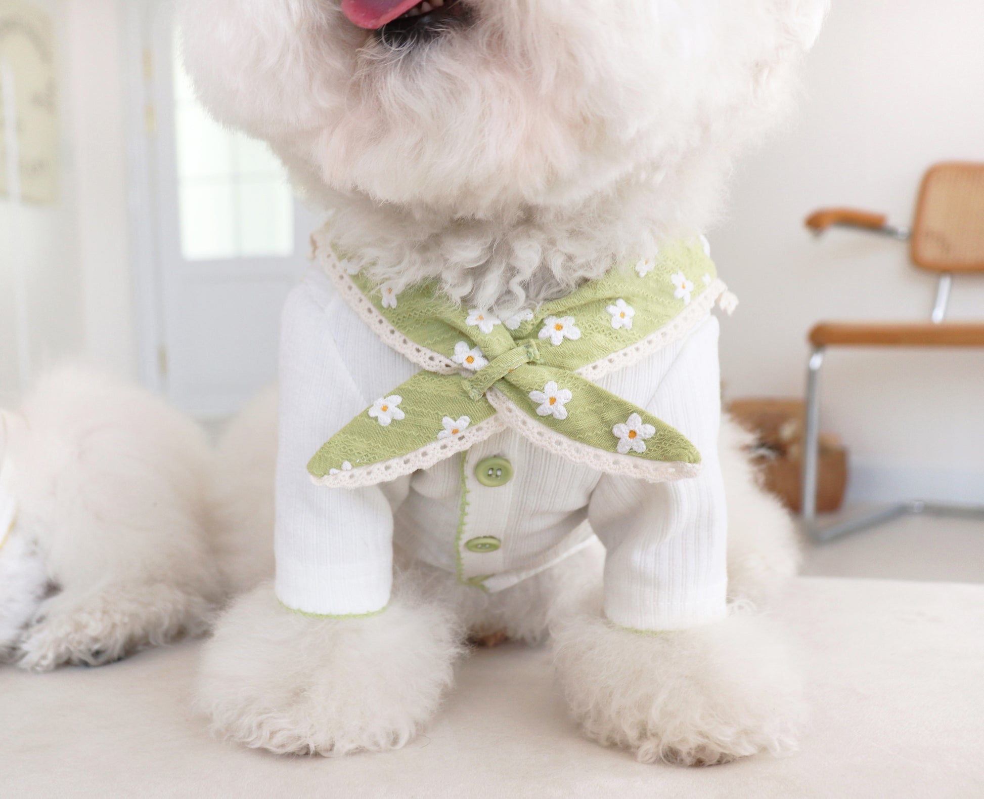 Durang Rurang Flower Coat[韩国Durang Rurang碎花领小衣服] image 2