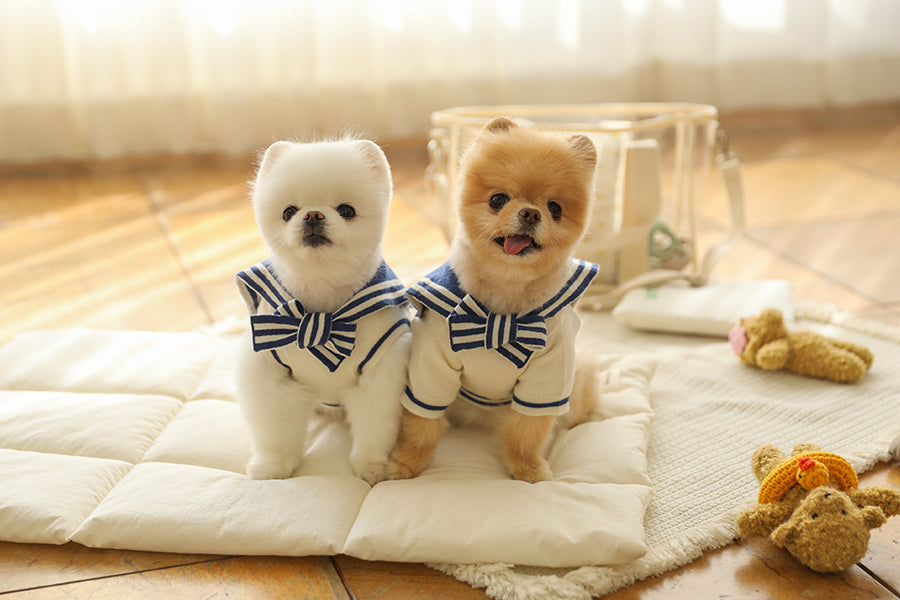 Ba&ttang-Marine Sailor Knit Pullover: ivory/blue[Ba&ttang-水手服小毛衣:蓝色] image 0