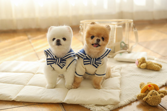 Ba&ttang-Marine Sailor Knit Pullover: ivory/blue[Ba&ttang-水手服小毛衣:蓝色] image 0