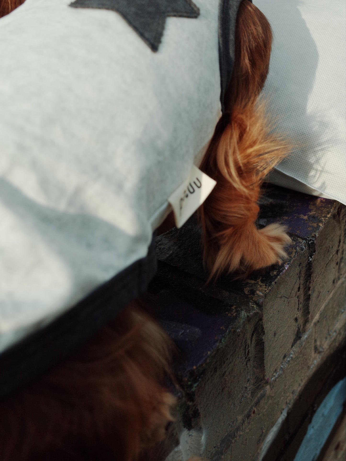 Patuu Star Tank Top[Patuu 宠物星星背心-2款可选] image 3