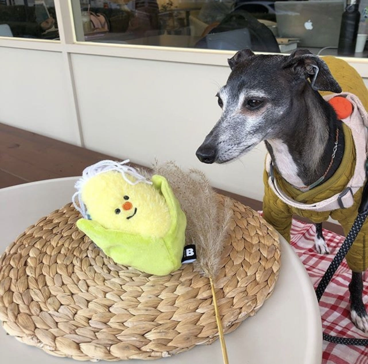 BiteMe-Vegetable Series Toy[BiteMe-蔬菜系列玩具] image 4