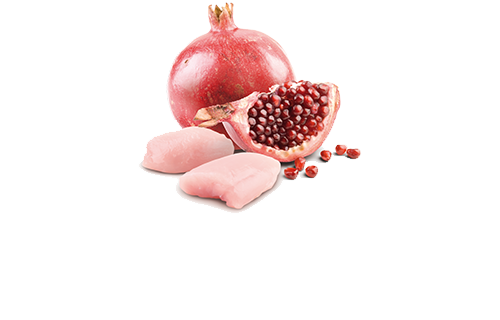 Farmina Cat N&D CHICKEN AND POMEGRANATE WET FOOD[法米娜N&D红石榴鸡罐头-70g] image 1