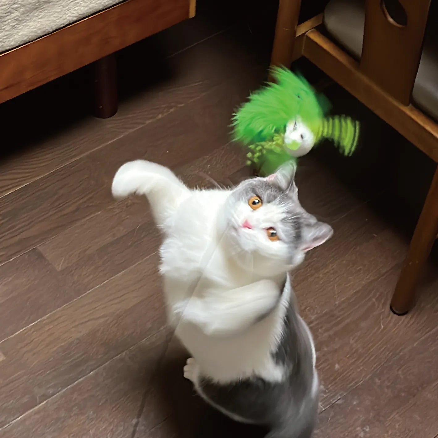 Cattyman PLAYFUL SUCTION CUP DANGLER CAT TOY[Cattyman吸盘小鸟玩具] image 4