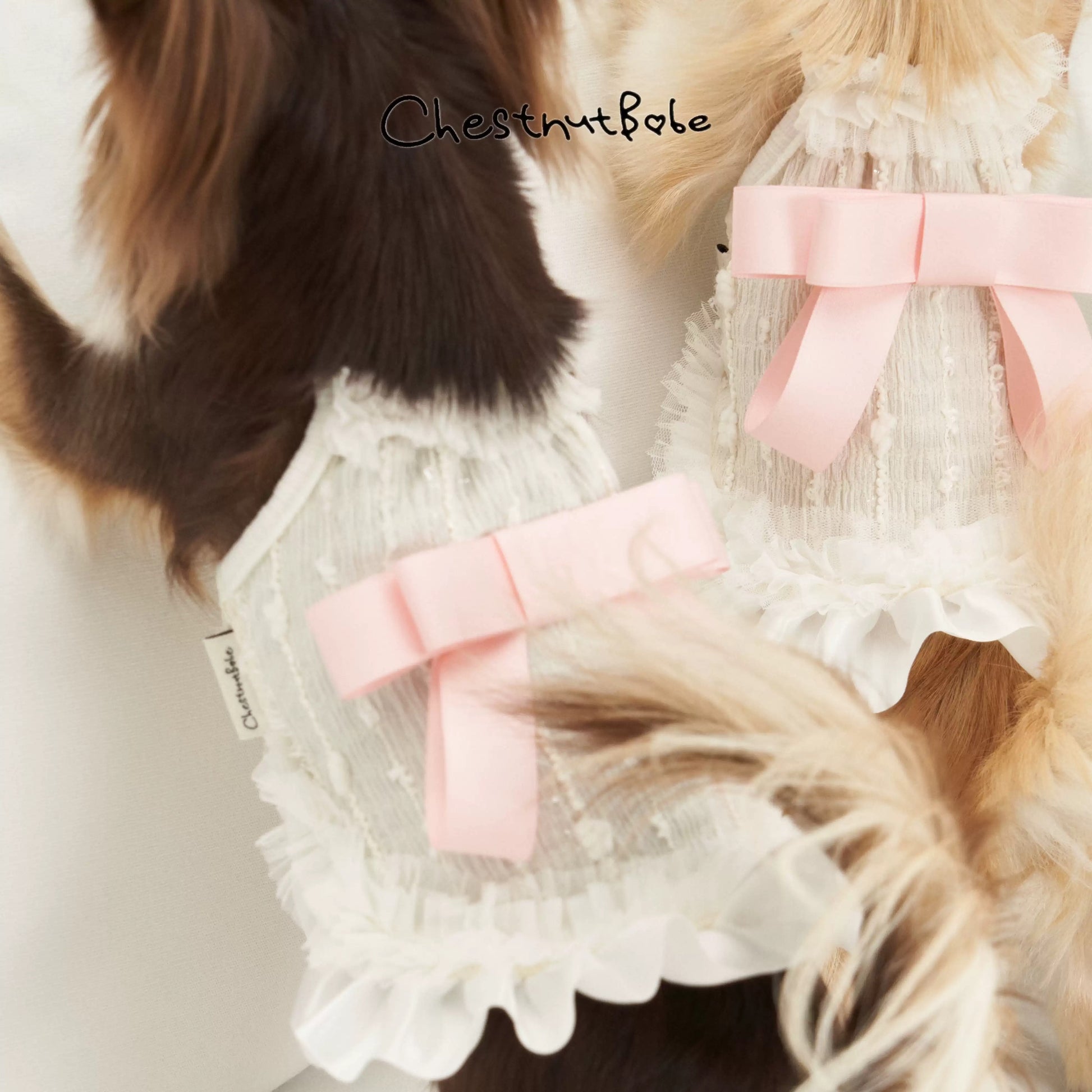 ChestnutBabe-ButterSea Pet Dress[Chestnutbabe-ButterSea 蝴蝶结吊带裙] image 3