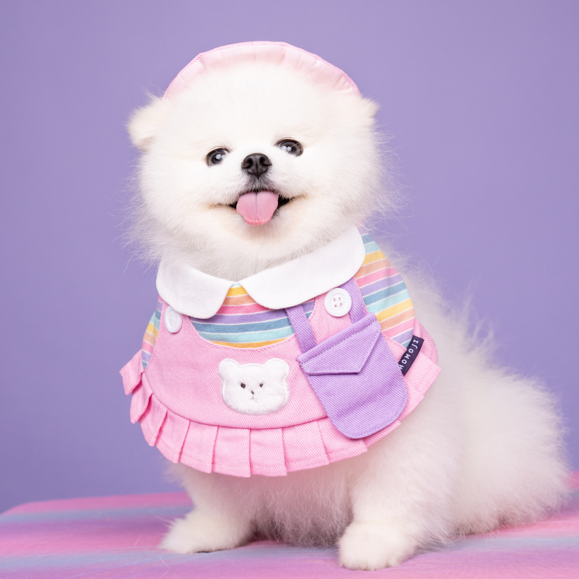 MoMoji Bear Girls | Pet Bib image 3