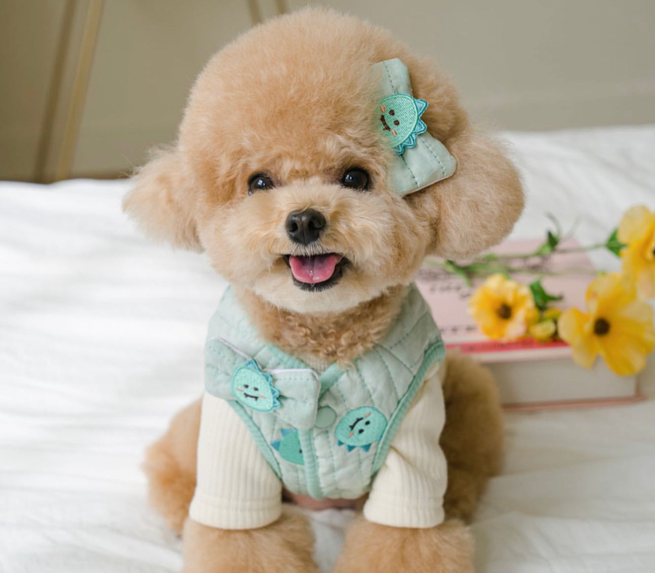 Pets&Me Bear Vest with Leash[韩国Pets&Me可爱熊熊马甲(包含牵引绳)] image 1