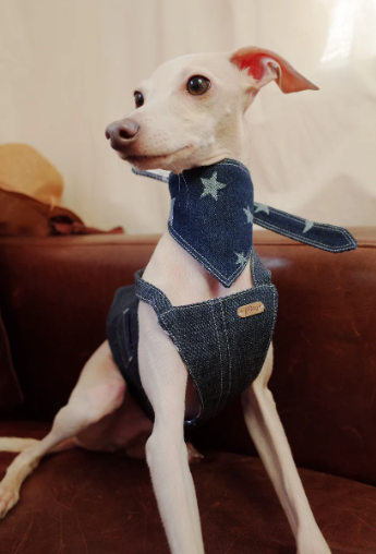 Patuu Dark Denim Skirt image 2